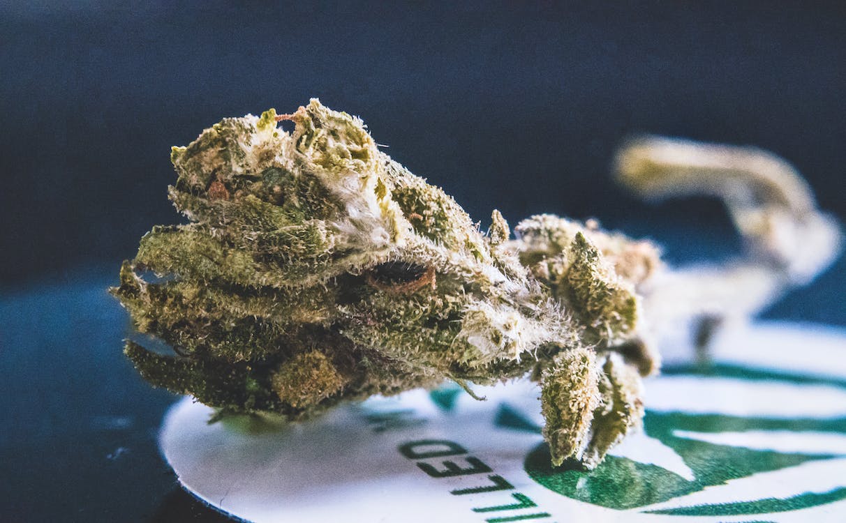 purple punch delta 8
