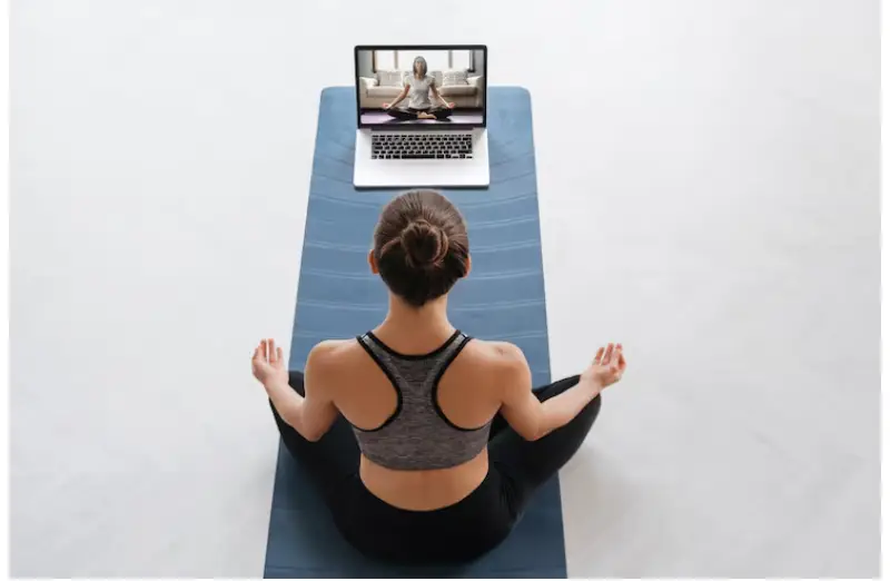 Therapist training online