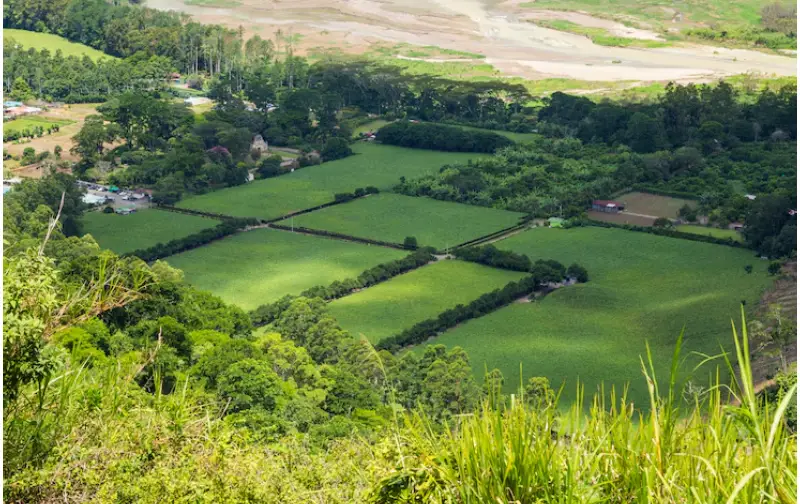 Selling land for cash.
